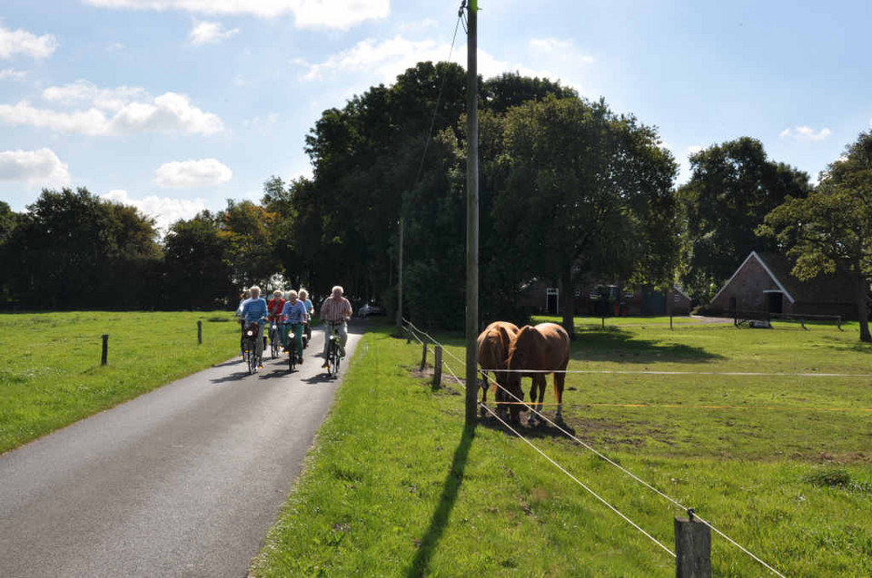 Fahrradgruppe fährt in Ayenwolde an Pferdeweide vorbei 