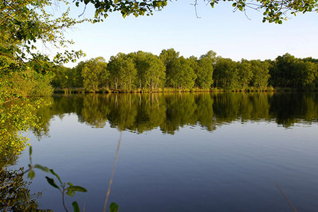 See in Veenhusen