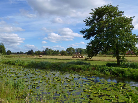 Wieke in Moormerland