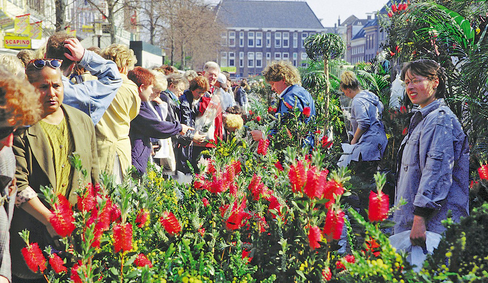 Blumenmarkt in Groningen (Niederlande)