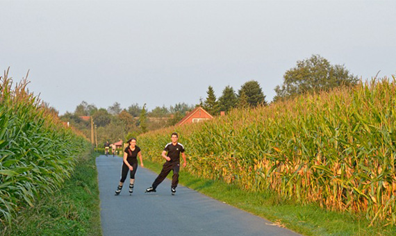Zwei Inline-Skater auf einer Straße zwischen zwei Mais-Feldern